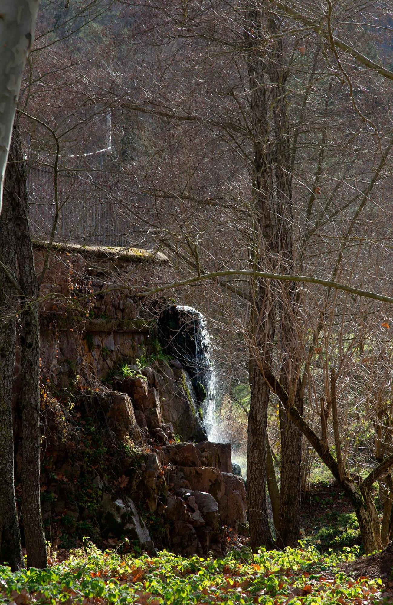 Casa Fabregas - Benestar Natural Viladrau Exterior foto